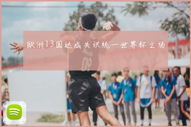 欧洲13国达成共识统一世界杯立场