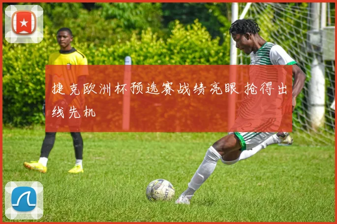 捷克欧洲杯预选赛战绩亮眼 抢得出线先机