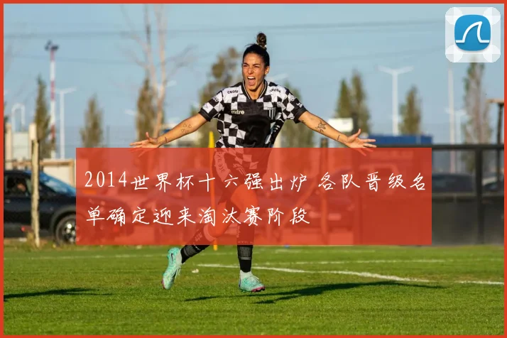 2014世界杯十六强出炉 各队晋级名单确定迎来淘汰赛阶段
