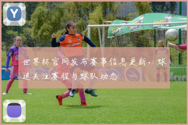 世界杯官网发布赛事信息更新,球迷关注赛程与球队动态
