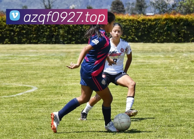 开云·kaiyun(中国)·web版登录入口服务体系