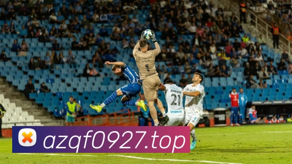 App Interface Preview