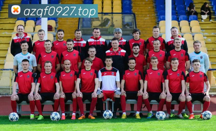 开云·kaiyun(中国)·web版登录入口APP 封面图